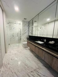 Wallich Residence  (D2), Condominium #456821791